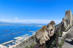 Gibraltar_25_206
