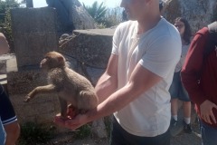 Gibraltar_25_208