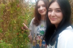 programy-kulturowe_01555